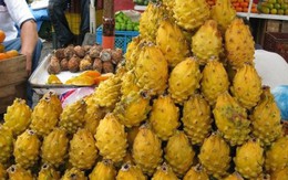 Việt Nam sở hữu 'siêu trái cây' khiến người Trung Quốc siêu mê: xuất khẩu số 1 thế giới, diện tích trồng hơn 55.000 ha