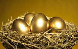 Tỷ phú Thái Lan sắp bỏ túi hơn nghìn tỷ đồng nhờ "con gà đẻ trứng vàng" tại Việt Nam