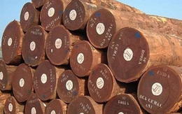 Cứu tinh từ Campuchia đổ bộ giúp Việt Nam cạnh tranh với Thái Lan ngôi vương của thế giới: Thuế nhập khẩu ưu đãi 0%, thế giới đang ngày càng khan hiếm