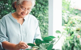 Về già, dù giàu hay nghèo, giữ được 4 điều này mới là may mắn nhất