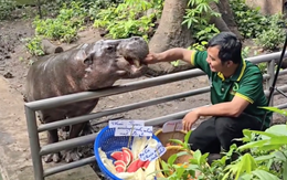 Không ngờ tới những "nhân viên tiêu biểu" đã giúp Thảo Cầm Viên đạt doanh thu trăm tỷ