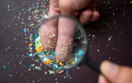 Thực phẩm ‘ngậm’ nhiều vi nhựa có mặt thường xuyên trên mâm cơm người Việt