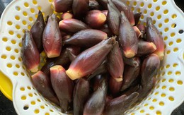 Loại rau người Nhật coi như "nhân sâm châu Á": Mọc đầy Việt Nam nhưng ít người biết