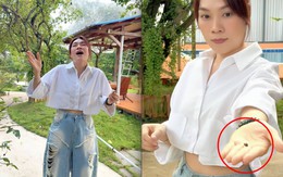 Mỹ Tâm khoe "tài sản khủng", có tiền chưa chắc mua được