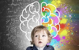 Mẹ nhóm máu này sinh con thông minh vượt trội, tài trí hơn người – Nghiên cứu của Stanford khiến thế giới xôn xao