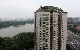 "Độ" penthouse thành “biệt thự cổ quái” 740 m² trên nóc chung cư 26 tầng, người đàn ông bị cơ quan chức năng ra quyết định cưỡng chế: “Phải dỡ bỏ trong 15 ngày”