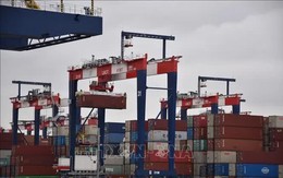 Các hãng xe Nhật Bản lỗ gần 10 tỷ USD vì thuế quan Mỹ