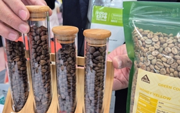 Giá cà phê hôm nay 14 -11: Tiếp tục rớt giá