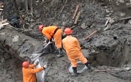 Người đàn ông đào được khúc gỗ đen sì tỏa ra mùi thơm, dài hơn 30m, nặng 60.000 kg: Cảnh sát lập tức phong tỏa hiện trường