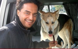 Bị ép hít đất 500 cái để nhận lương, nhân viên sát hại CEO