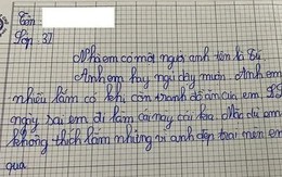 Bài văn tả anh trai của học sinh lớp 3 khiến cả nhà nóng mặt, đến đoạn kết thì đồng loạt ngã ngửa