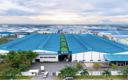 Nhà sản xuất đưa sản phẩm 'Made in Vietnam' tới hơn 50 quốc gia: Từng là doanh nghiệp thương mại chiếm 65% thị phần, nay có 2 nhà máy quy mô 1.500 nhân sự