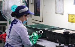 Không xóa bỏ, cắt giảm tiền lương, chế độ khi điều chỉnh lương tối thiểu