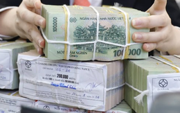 Nhiều ngân hàng giảm lãi suất, tiếp sức khách hàng phục hồi sau bão, lũ