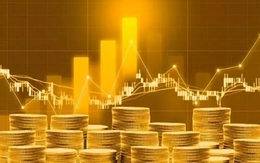 Sàn giao dịch vàng không phải chiếc 'đũa thần' giải mọi bài toán trong một đêm