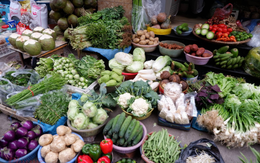 4 loại rau ít “ngậm” thuốc trừ sâu nhất chợ, phòng đột quỵ, ngừa ung thư: Nếu thấy nhớ mua ngay!