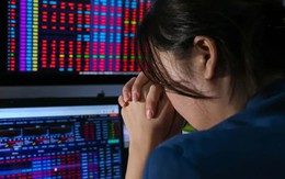 Nghe bạn trai rủ đầu tư chứng khoán, người phụ nữ bị lừa gần 100 triệu đồng