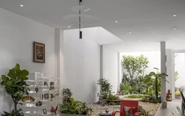 Nhà 3 tầng như villa nghỉ dưỡng giữa phố