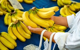 Chuối tươi lâu suốt 26 ngày khi được bảo quản theo cách này: Không phải bọc cuống