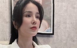 Diệp Lâm Anh xin lỗi