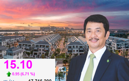 Novaland làm sao thế?