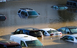 Đây là những sai lầm của phần lớn chủ xe khiến chiếc xe nhanh hỏng sau mùa mưa bão