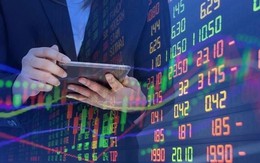 Chỉ báo kỹ thuật đọc vị dòng tiền giúp nhà đầu tư phát hiện cổ phiếu được gom hay xả