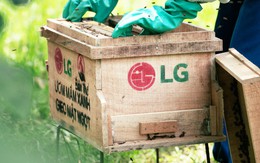 Đại sứ Cộng đồng LG 2025: Hành trình cùng cộng đồng kiến tạo tương lai bền vững