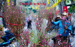 Chính phủ yêu cầu chăm lo đời sống người dân dịp Tết Nguyên đán Bính Ngọ 2026