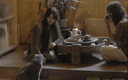 Vợ chồng nghệ sĩ 9x tự thiết kế mái ấm như hang động, thô mộc, nguyên sơ: Nhà là nơi để được bao bọc và bình yên