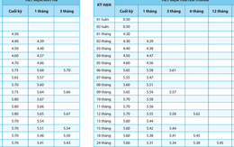 Thêm ngân hàng tăng lãi suất tiết kiệm: Lãi suất 6 tháng cao hơn cả 60 tháng