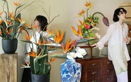 Hoa thiên điểu “đổ bộ” phòng khách ngày Tết: Nhìn là thấy giàu, cắm một lần là nghiện