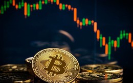 Trưa 18-11, nỗi sợ của giới đầu tư Bitcoin đã thành hiện thực