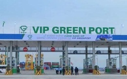 Viconship sắp thu gần 90 tỷ đồng cổ tức từ Cảng Xanh Vip