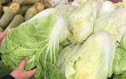 Đi chợ thấy 5 loại rau này thì "quay xe", dù người bán cho không cũng KHÔNG LẤY