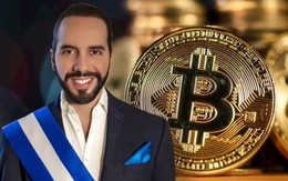 Đi ngược tâm lý sợ hãi của toàn thị trường, Tổng thống El Salvador vừa ‘khoe’ bắt đáy thành công 1.098 Bitcoin