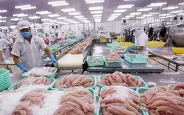 Xuất khẩu thủy sản cả năm dự báo đạt 10,5 tỷ USD