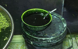 Ra chợ mua rau thấy 5 dấu hiệu này: Khả năng cao đã ngâm hóa chất, mạnh dạn quay xe