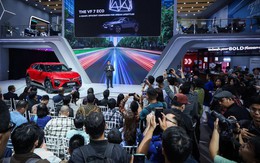 VinFast của ông Phạm Nhật Vượng đang làm ăn thế nào tại thị trường ô tô lớn nhất Đông Nam Á?