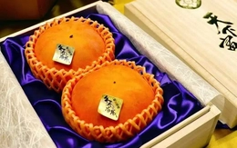 Ngỡ ngàng cặp hồng được bán với giá kỷ lục 187 triệu đồng