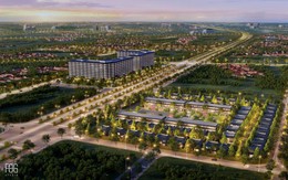 Chủ tịch Onsen Fuji với Thera Home và triết lý kinh doanh của người Nhật