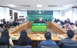 Sự trở lại của HAGL và dấu ấn “kiến trúc sư” OCBS trong bức tranh chiến lược mới