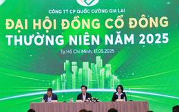 Quốc Cường Gia Lai tăng mạnh vay tiền của người thân lãnh đạo, đã trả 900 tỷ đồng cho Sunny Island