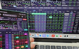 Lo chứng khoán giảm tiếp, nhà đầu tư lại khóc ròng