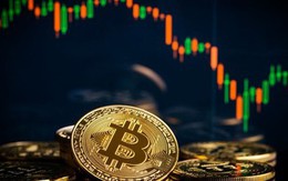 Thị trường tiền số hôm nay, 2-11: Cảnh báo chiêu lừa có thể khiến nhà đầu tư mất sạch