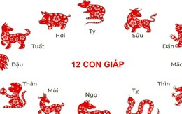 2 con giáp sắp lội ngược dòng viên mãn, tiền bạc đủ đầy, 1 con giáp lại cần thận trọng