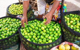 Loại quả bán đầy ở chợ Việt Nam giá cực rẻ - Sang trời Tây bỗng thành hàng hot, được các 'đại gia dầu mỏ' tranh mua như đặc sản