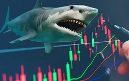 Vì sao loạt “cá mập”, “cá voi” đua nhau tham gia Chứng Trường Bạc Tỷ mùa 2?