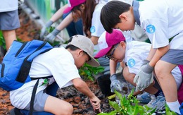 AEON nỗ lực phát triển bền vững tại Việt Nam