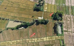 Cánh đồng gần chùa bỗng đổi dạng trong một đêm, dân làng xôn xao "chưa từng thấy bao giờ"